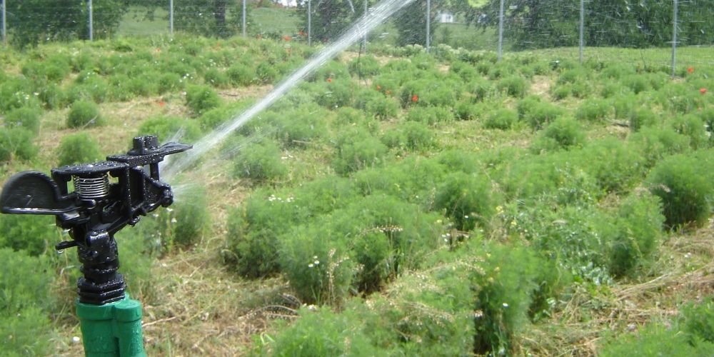 IrigExpert - irigatii agricole